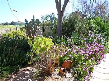 Finca Libertad Mallorca Campos (Mallorca)
